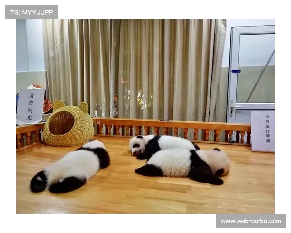 成都启动熊猫计划三年内打造万人青训基地推动足球人才培养升级 成都启动熊猫计划三年内打造万人青训基地推动足球人才培养升级